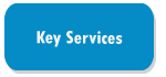 Cleaning Services